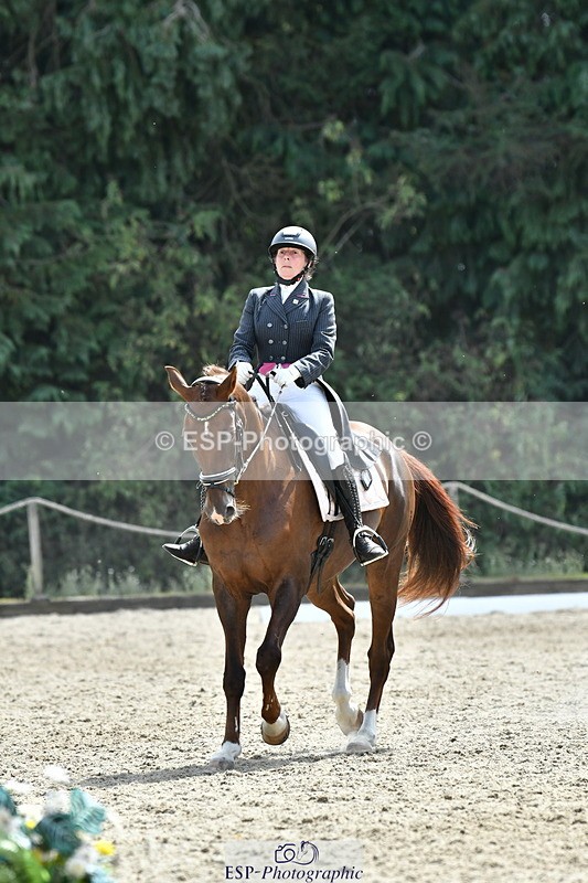 260802A-152345-07388 - Intermediate Bronze