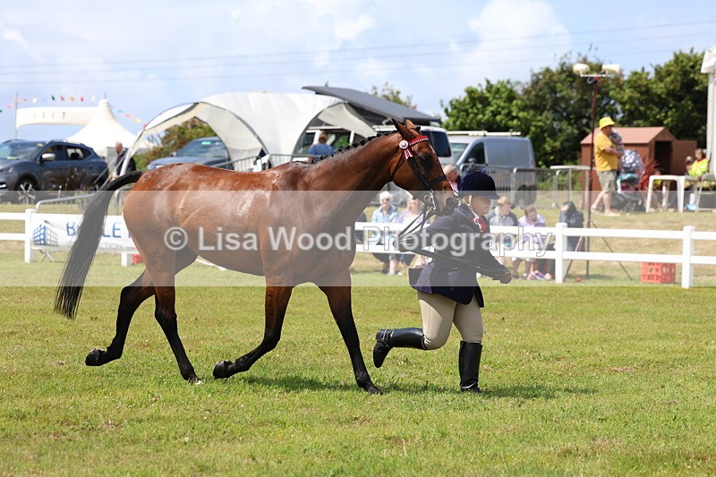 3E7A1142 - Class 8: Open Riding Horse/Hack