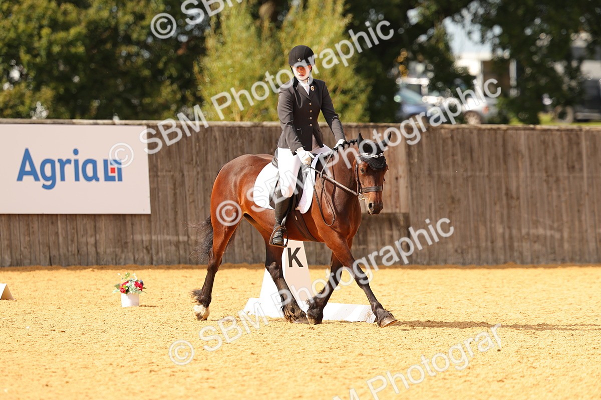 SBM_48255 - D22 - Junior Championship - Intro B