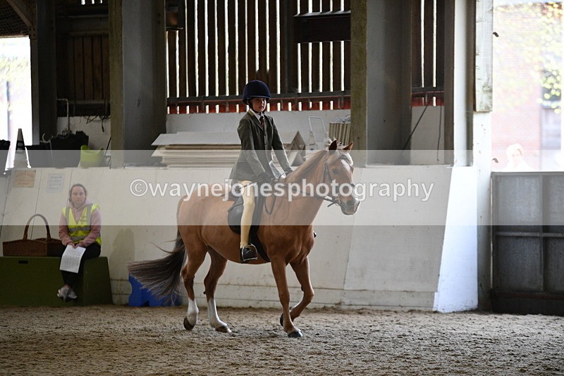 WJ5_6226 - Class 9 Ridden Veteran