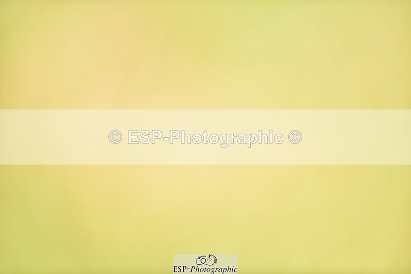 240523B-112214-01946 - 5 Year Old