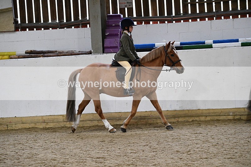 WJ5_7175 - Class 11 Ridden PC - RC Pony