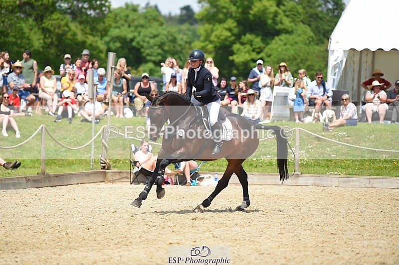 230528-125216-15876 - 357-VIVENDI_HERO-Saffron_Cresswell-SUNTrotUp+SJ