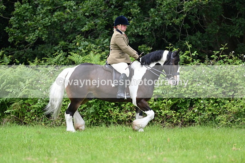 WJ7_2311 - Class 12A Coloured Class