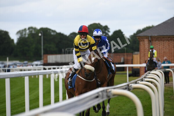 yr11062022r2-20 - Race 2 2.00pm Queen Mother's Cup