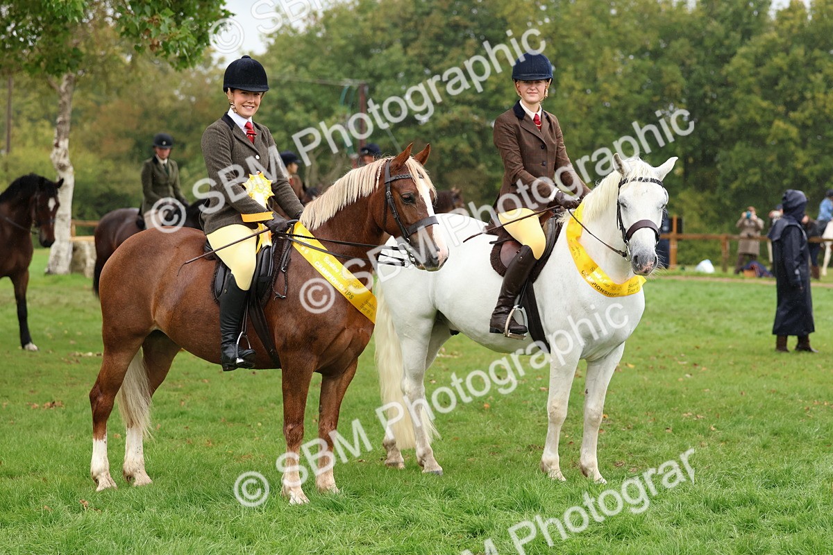 SBM_69744 - S62 - Mountain & Moorland Ridden Large Breeds