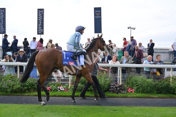 yr18082021r1-42 - Race 1 1.50pm Sky Bet & Symphony Group Stakes