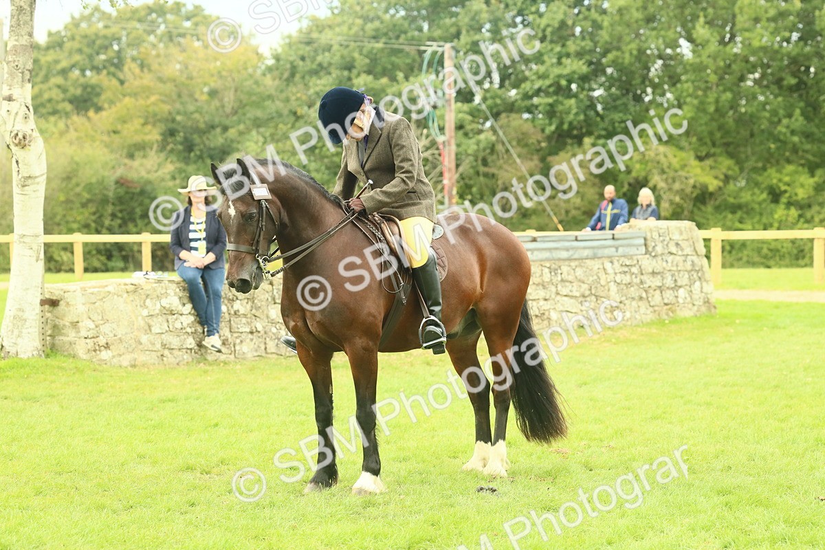 SBM_72009 - S60 - Mountain & Moorland Ridden Large Breeds