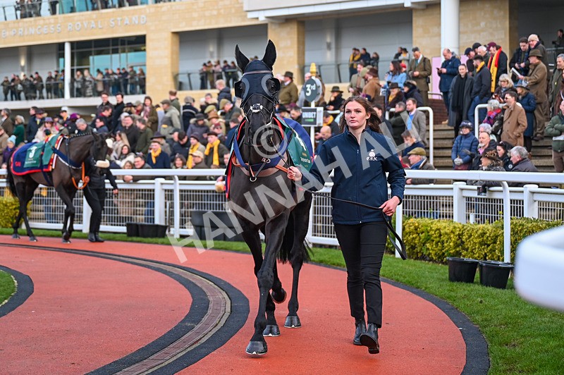 250125-Race 6-Monmiral-3635 - Race 6