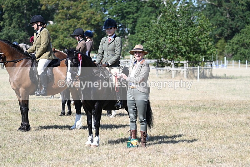 WJ7_4233 - Class 9 Mountain & Moorland Ridden
