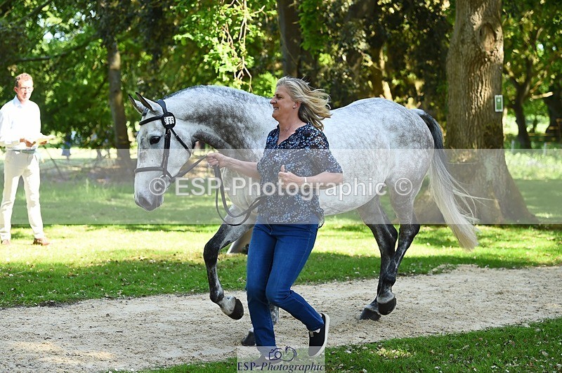 230524-153722-00397 - 366-KILMINGTON_FOLLY-Kristina_Cook-WEDTrotUp+DR