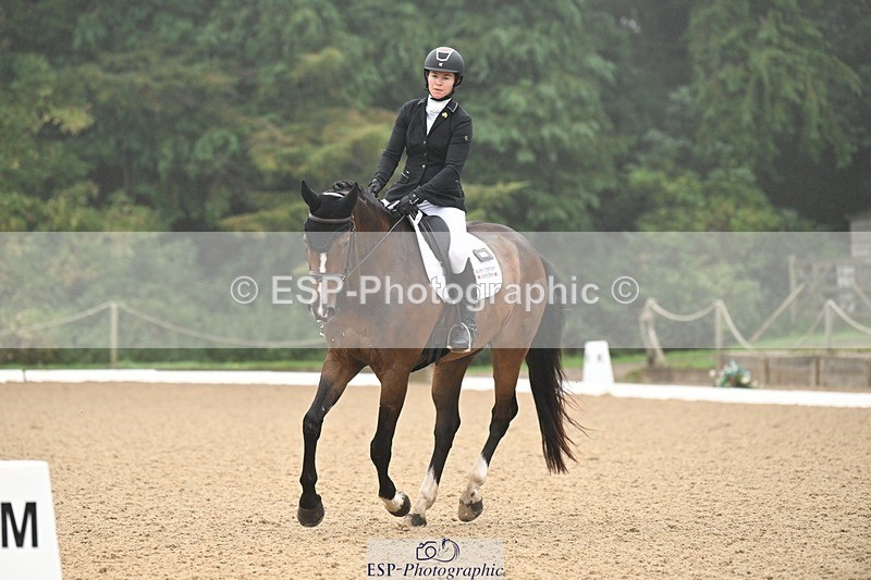 240811-094046-04837 - 119-Alice.Kneen-Dazzling.Springtime