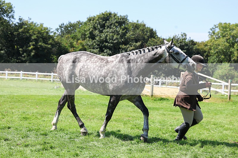 3E7A9061 - Class 6: Open Working Horse