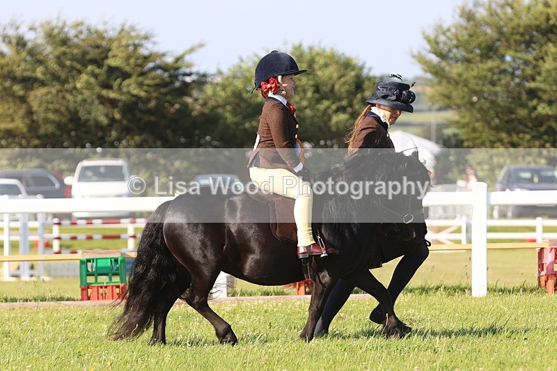 JPP_0924 - Class 16: Cornish Combination Leading Rein