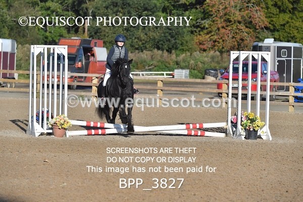 BPP_3827 - CLASS 0 Clear Round Show Jumping