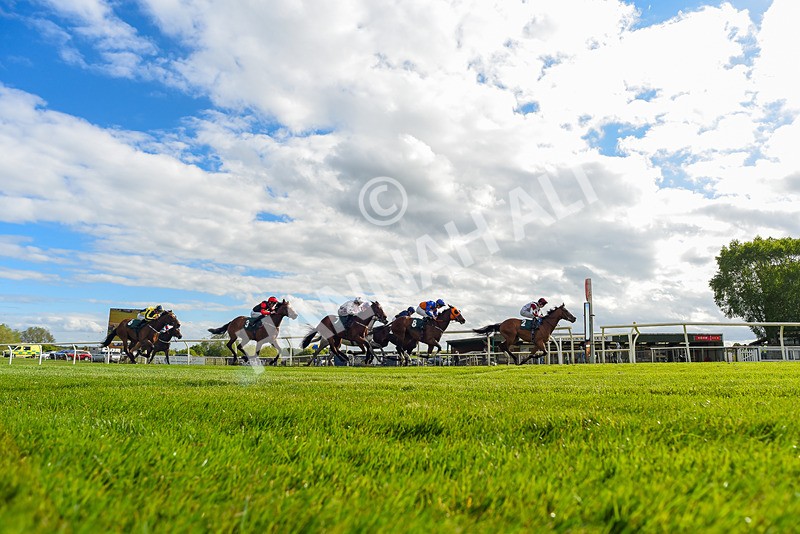 110526-Race 6-Betties Bay-2516 - Race 6 5.00pm Racing Again 21st May Fillies' Handicap