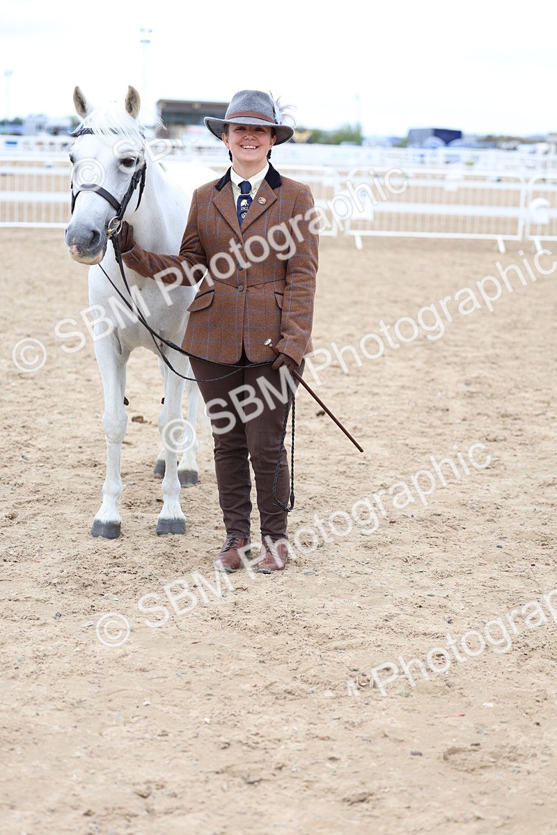 SBM_05076 - Class 27 - IH Competition Horse or Pony