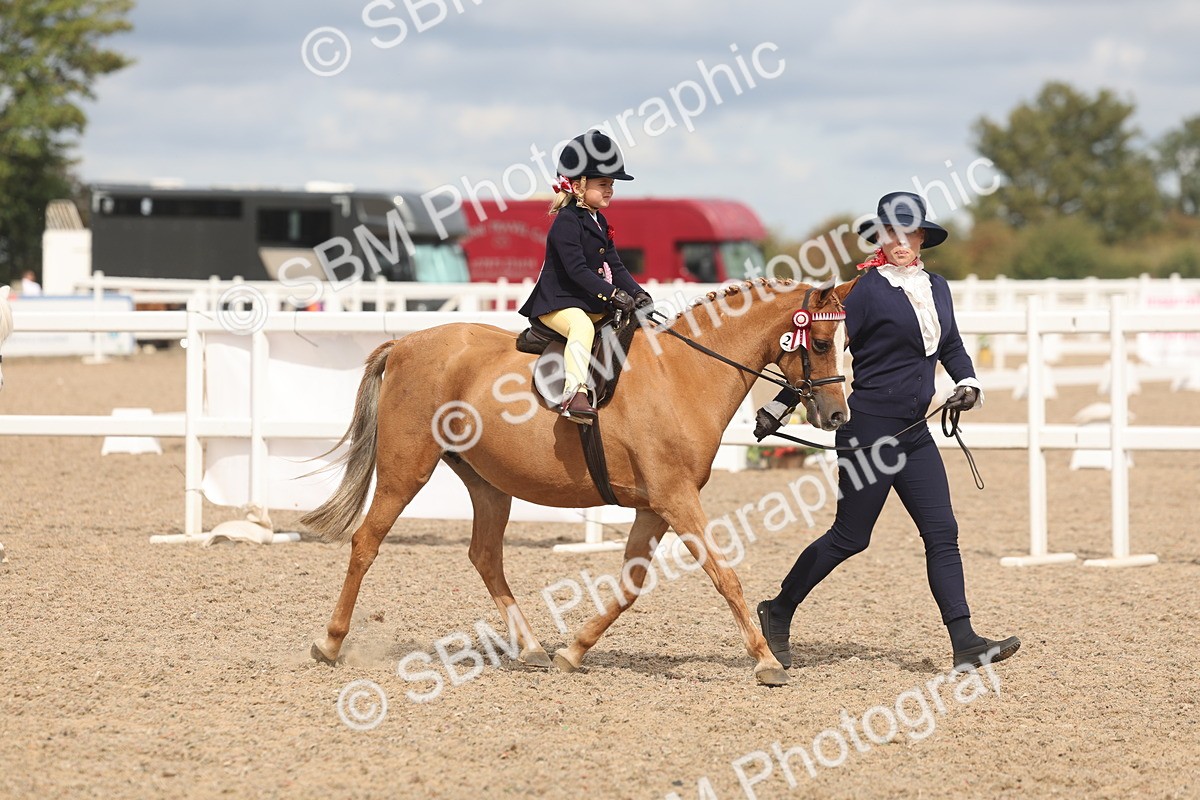 SBM_04605 - Class 19 - Horse/Pony Judge would most like to take home