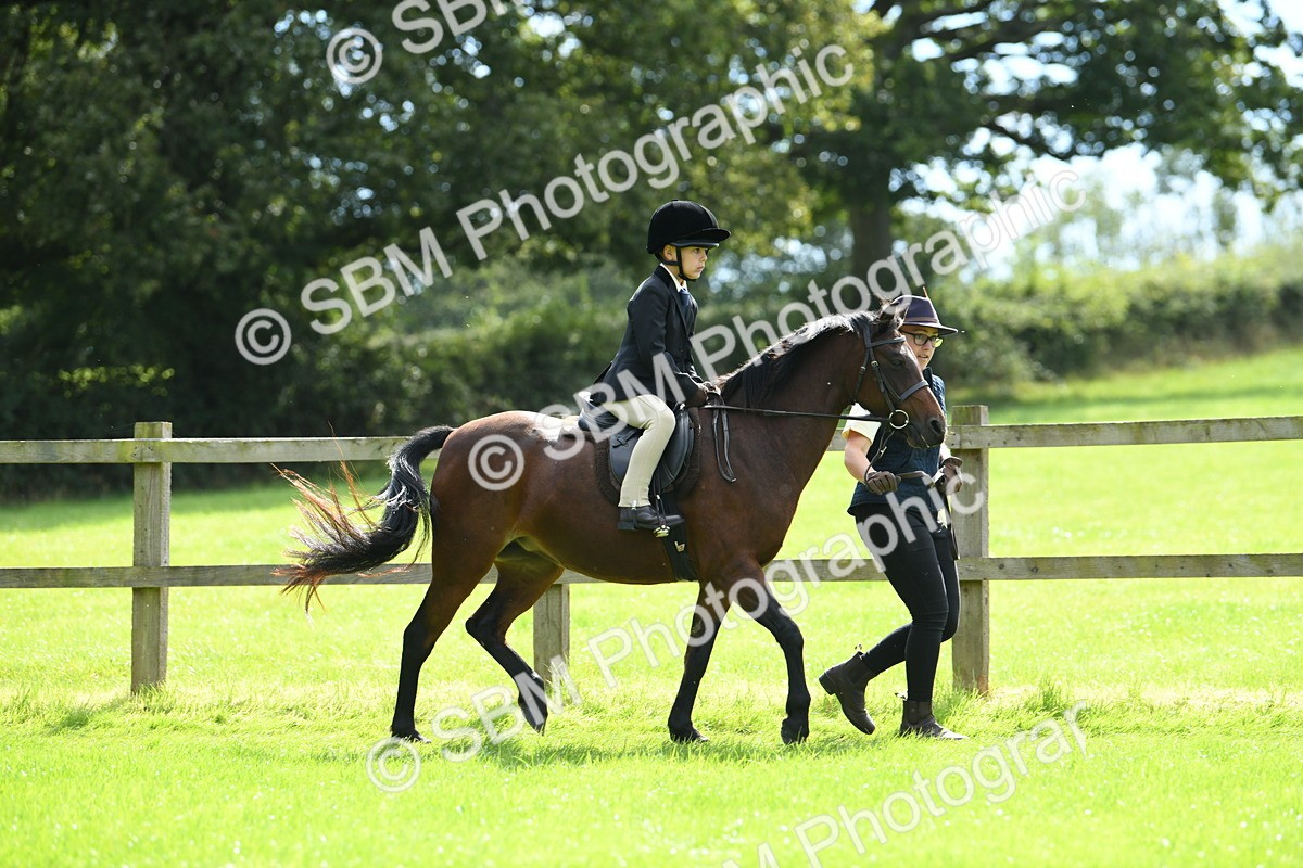 SBM_42533 - S20 - Lead Rein Mountain & Moorland Pony