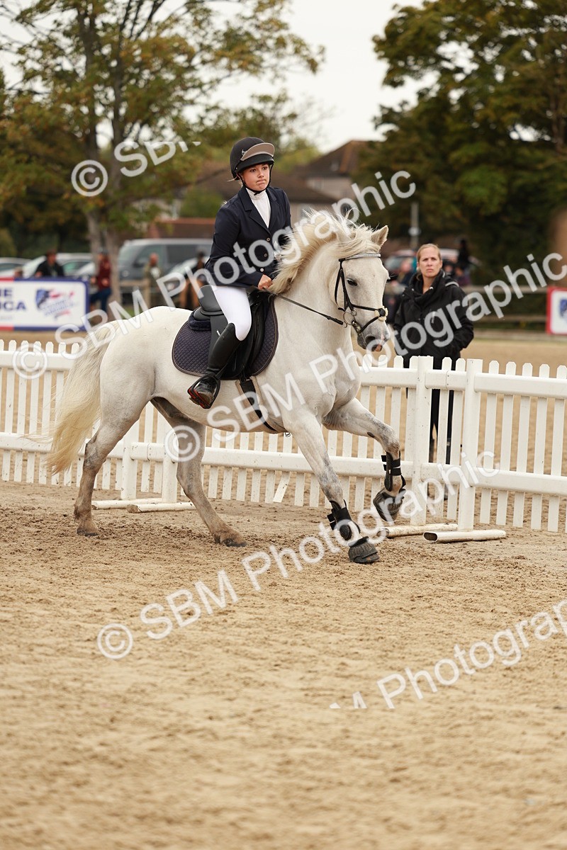 SBM_57903 - J11 - Junior Pony 50cm Championship