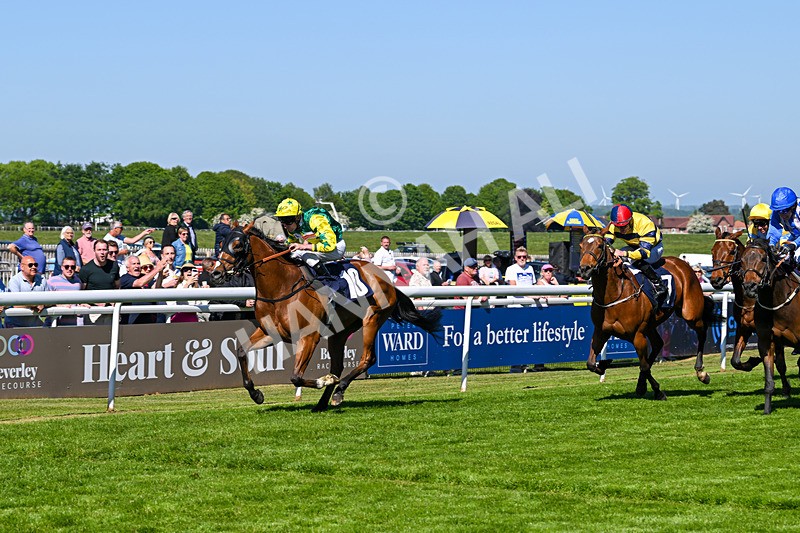 130525-Race 4-Coolree-0028 - Race 4