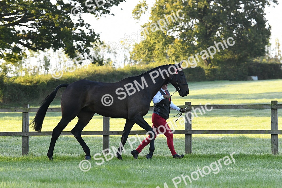 SBM_32503 - S15 - Condition & Turnout In Hand