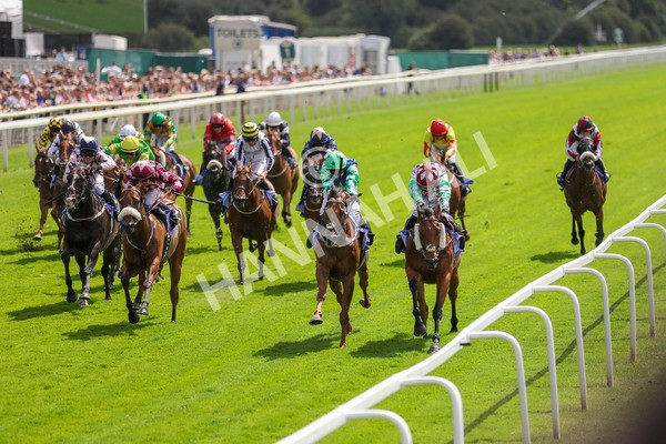 290723-Race 1-Soul Seeker-3796 - Race 1 2.05pm Sky Bet 'Jump Jockeys' Nunthorpe' Handicap