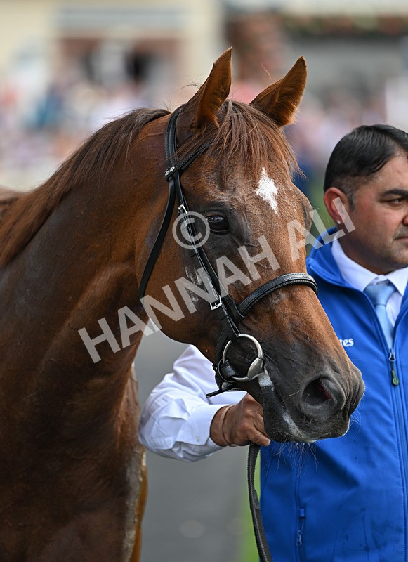 220826-122 Notable Speech - Race 3 15.00pm Sky Bet City Of York Stakes