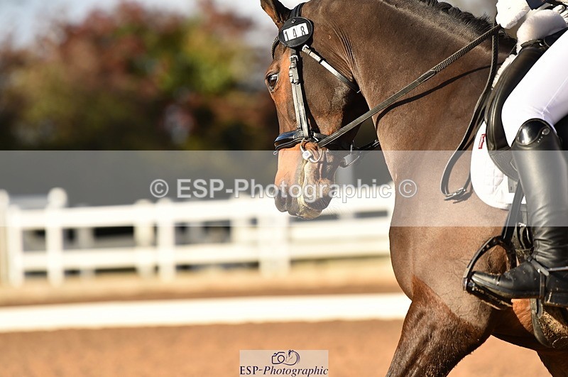 231104A-133444-01848 - Cls 10 Medium 61