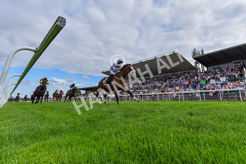 300826-Race 5-Harb-6669 - Race 5 3.55pm Constant Security Handicap