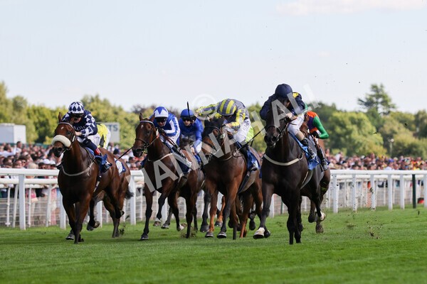 yr09072022r6-11 - Race 6 4.40pm John Smith's City Walls Stakes