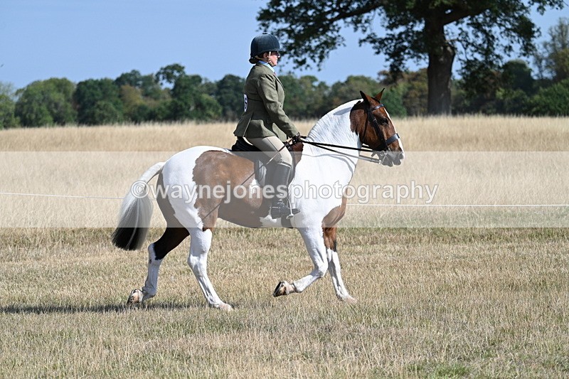 WJ7_2805 - Class 8 Ridden Tack & Turnout