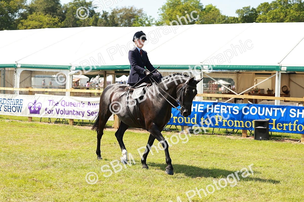 SBM_13309 - Class 70-71 - Side Saddle