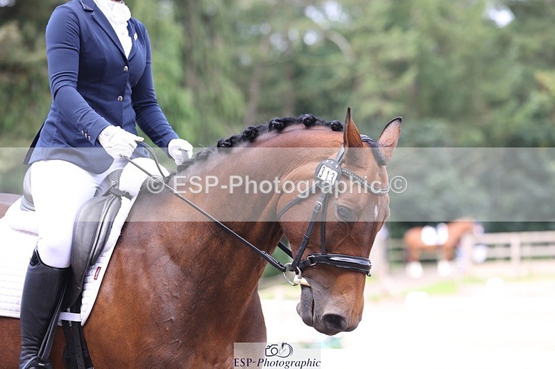 230813-095705-06194 - Cls 11 Elem Bronze Start to 10.50 break