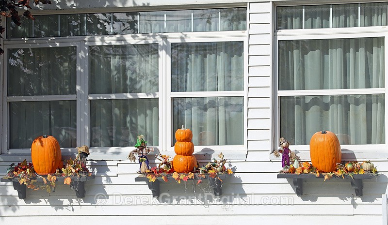 Window Gourds - Autumn Festival