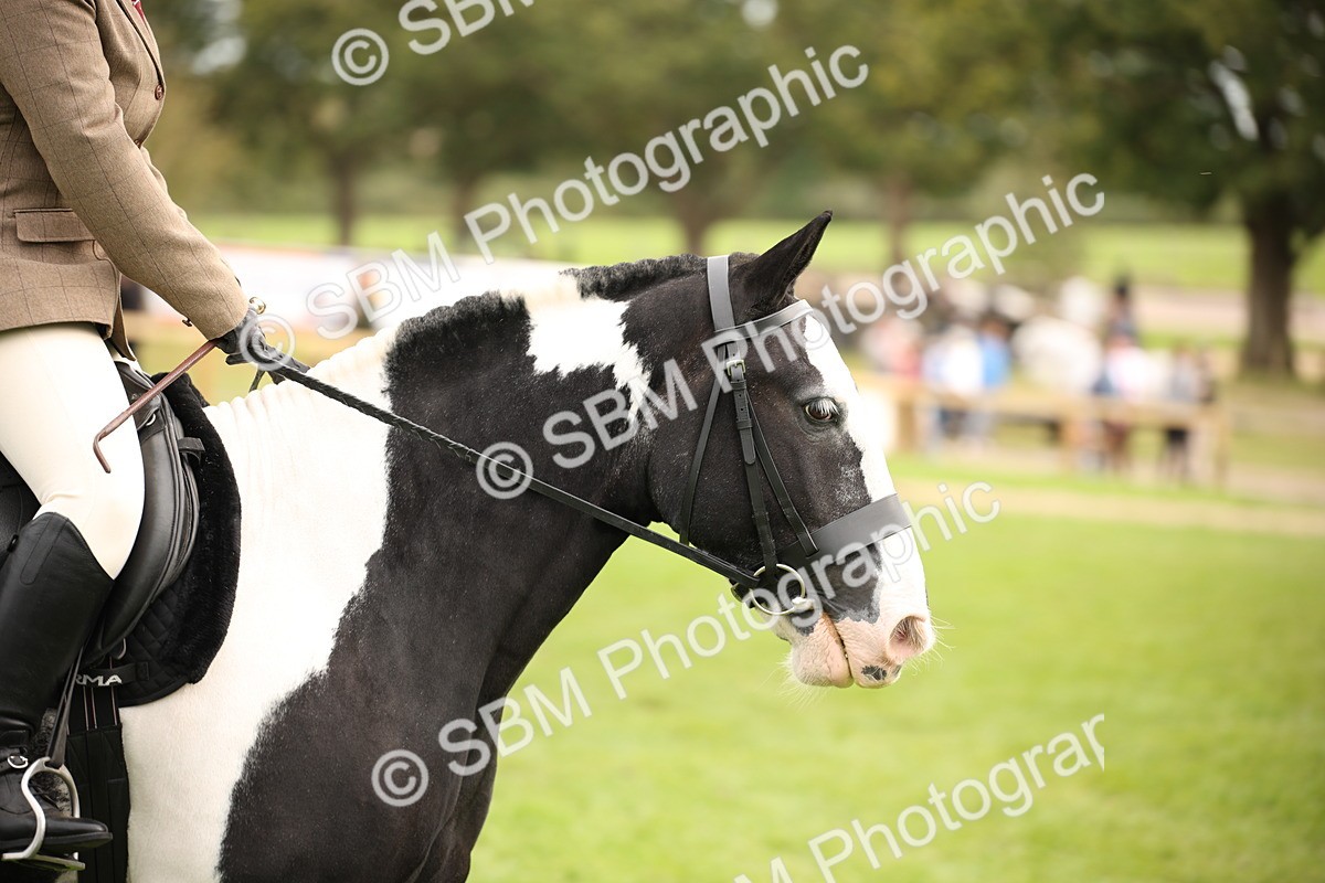 SBM_72392 - S67 - Show Cob Ridden