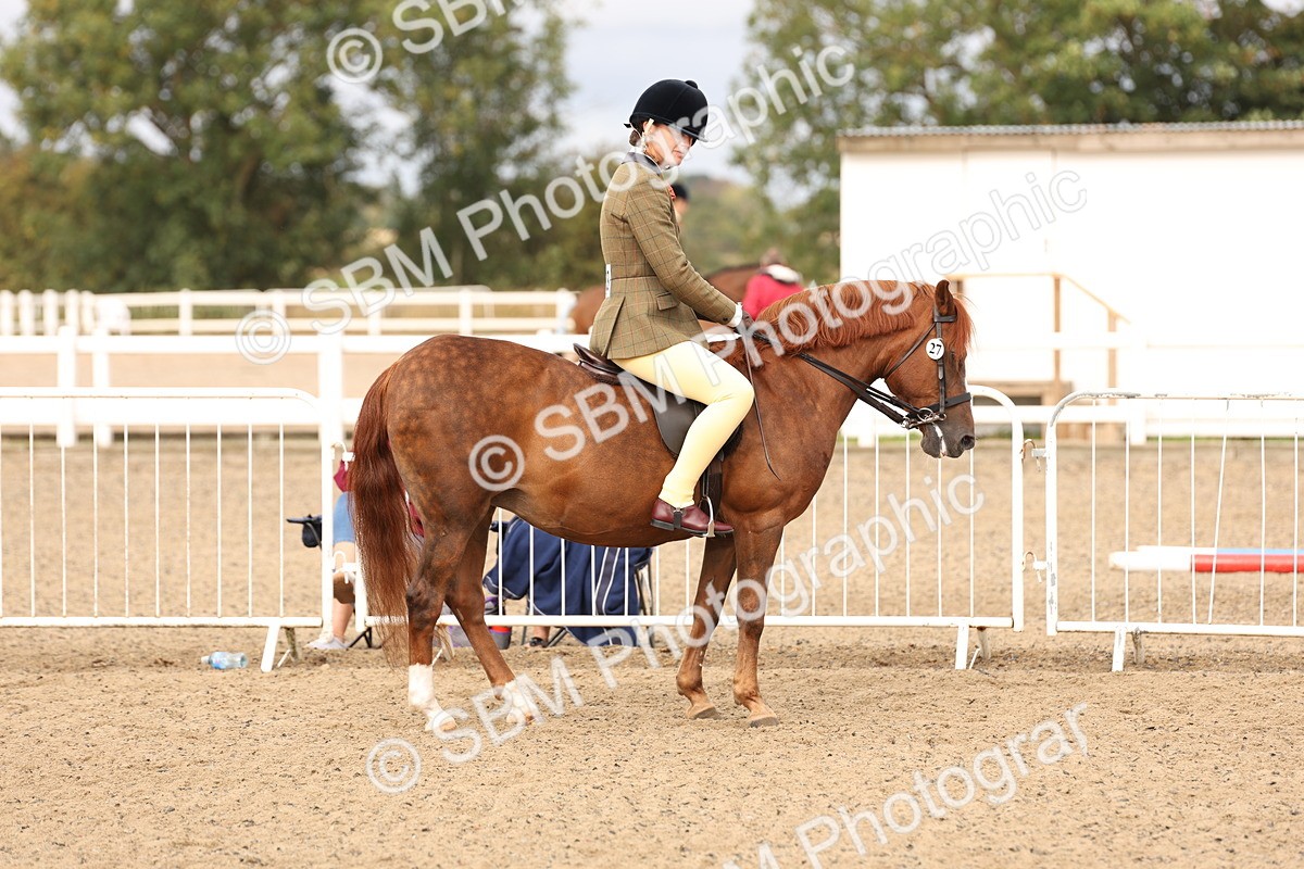 SBM_01598 - Class 52 - Ridden Veteran