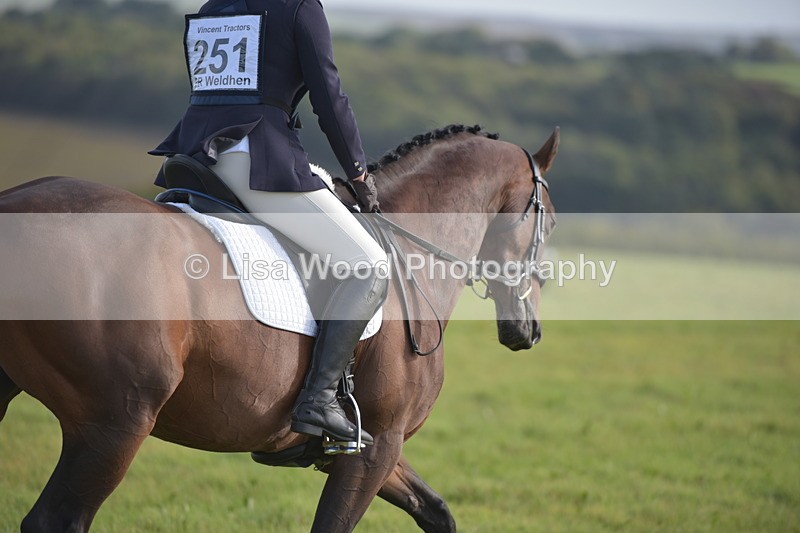 RAY_7256 - Class 2B: Trekenning Open: Dressage