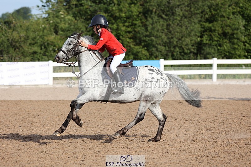 240629A-080120-02371 - Cls 16 British Novice and 80cm Open