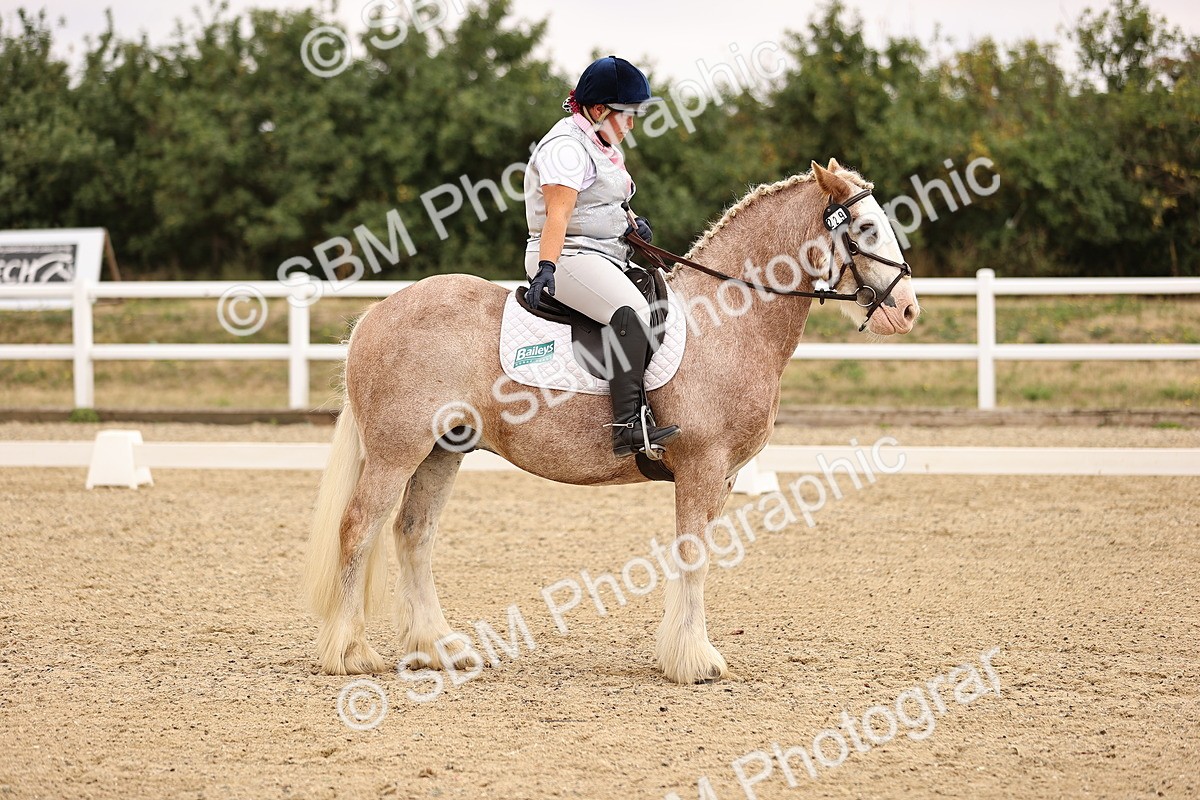 SBM_006429 - Intro 3 - 9.46-10.46