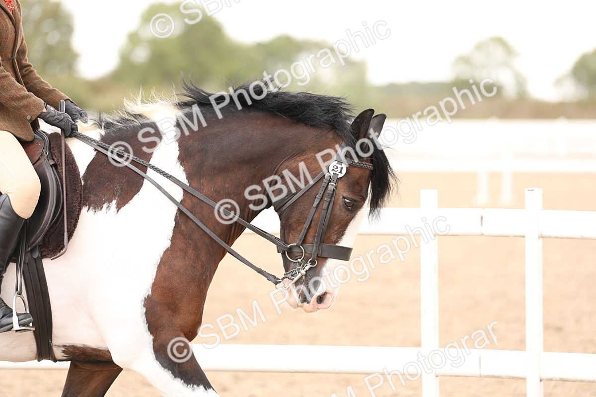 SBM_19621 - Class 216 - Ridden Traditional - Native Cob