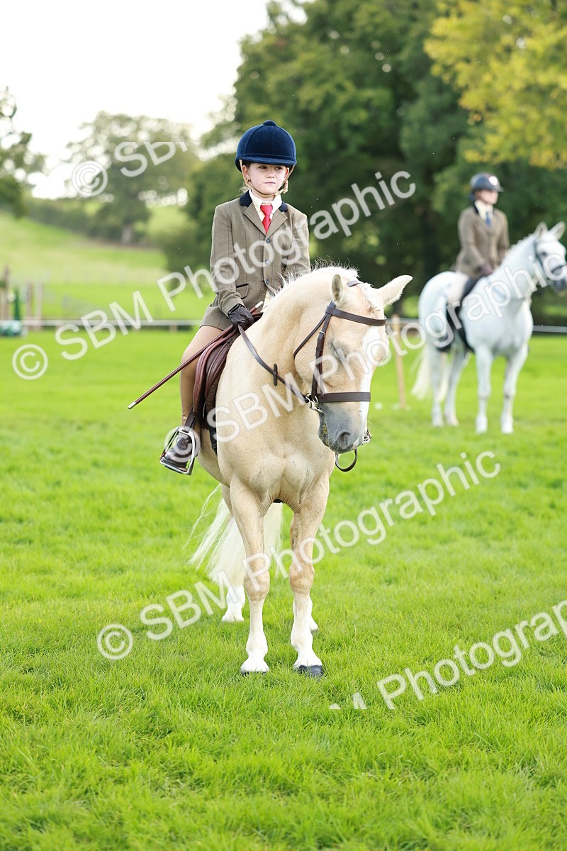 SBM_28847 - S7 - Novice & Newcomer Ridden Pony