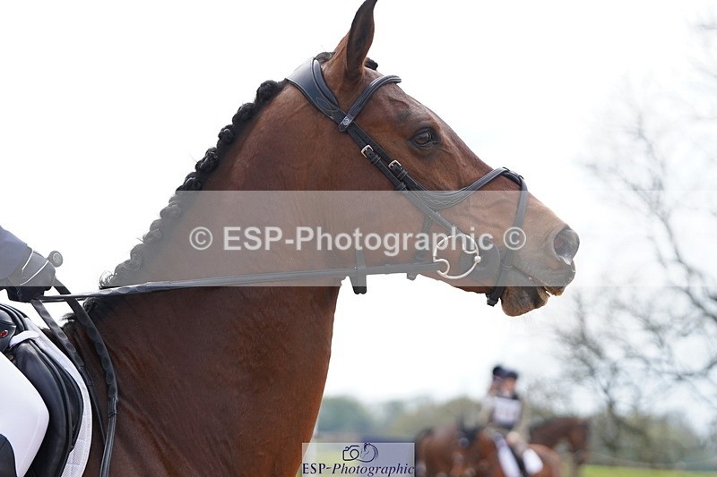 250419-134648-11083 - 756-Molly.Ashwin-GONTENDRO