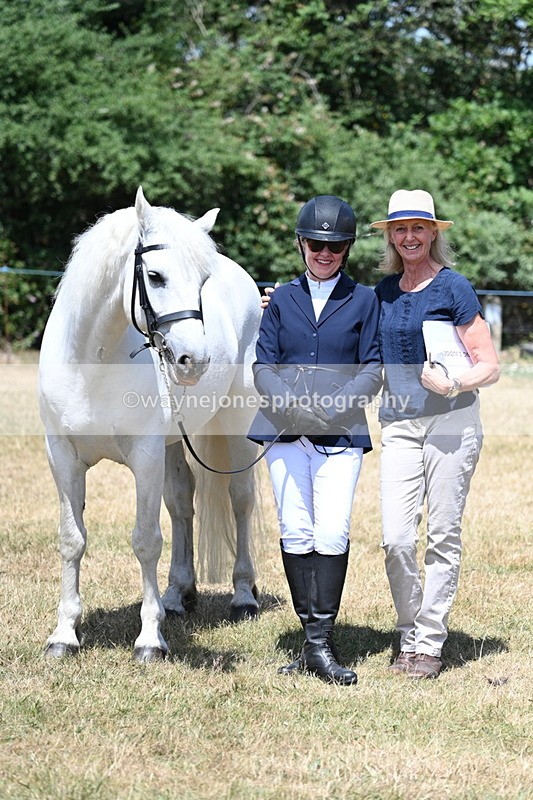WJ7_2472 - Class 5a Most Handsome Gelding in hand (above 14.2hh)