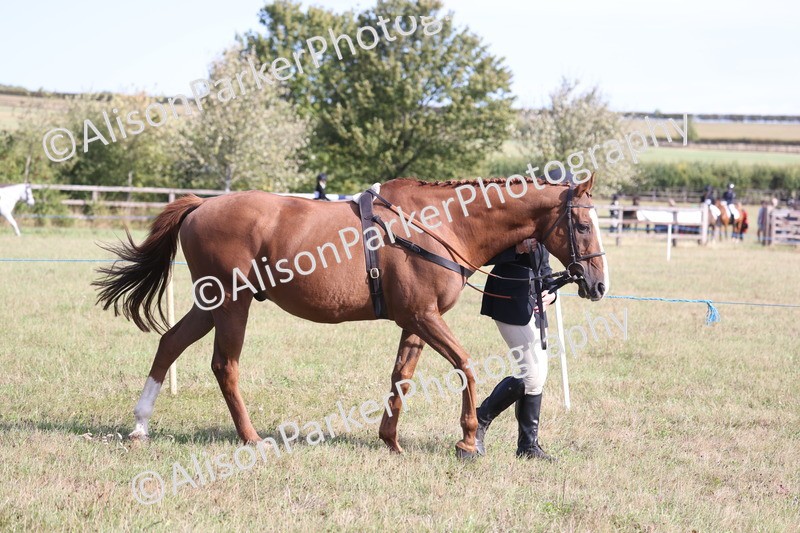 20260906-0660 - Class 22 - Ex Racehorse
