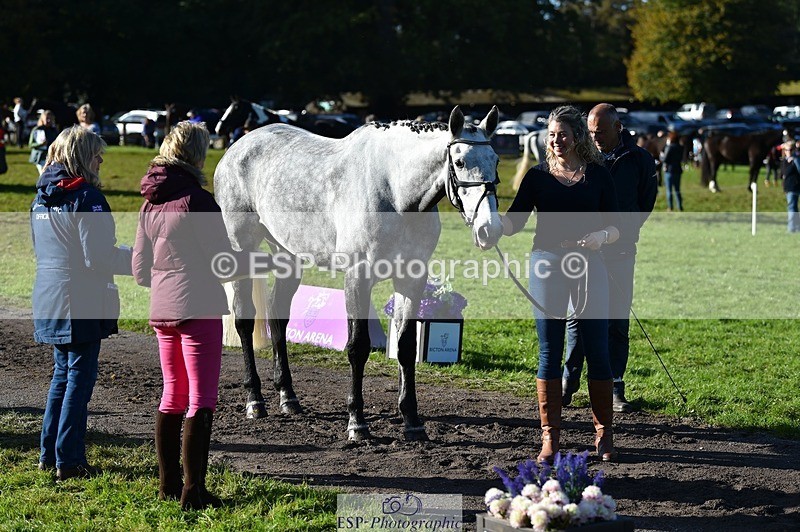 231022-104000-22648 - 445-CRUISING.BORO-Lucy.Knight-TrotUp+SJ