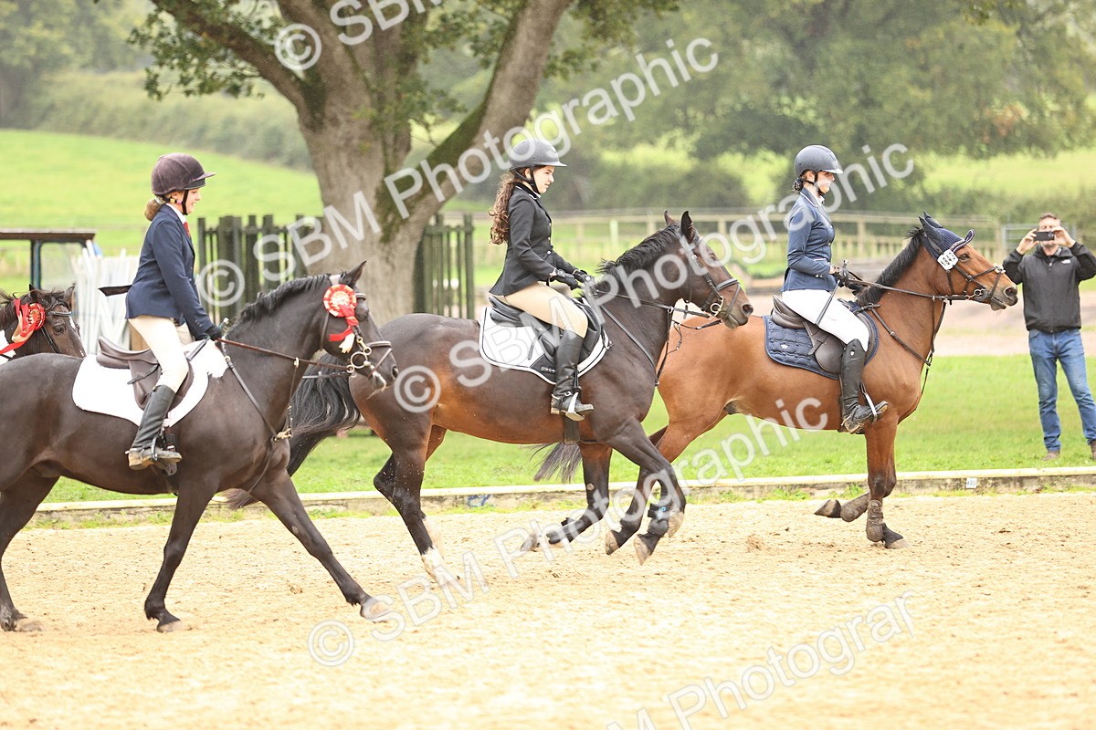 SBM_70114 - Supreme Championship 80cm 85cm