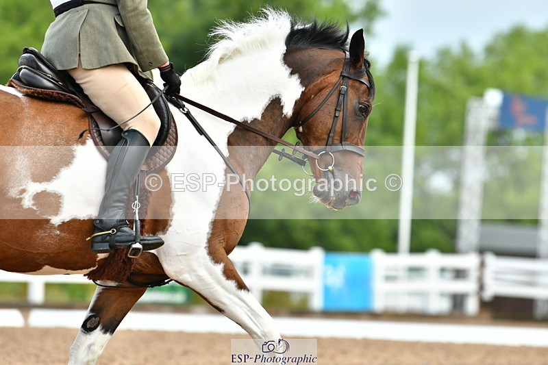 230708A-090529-01971 - Prelim 13