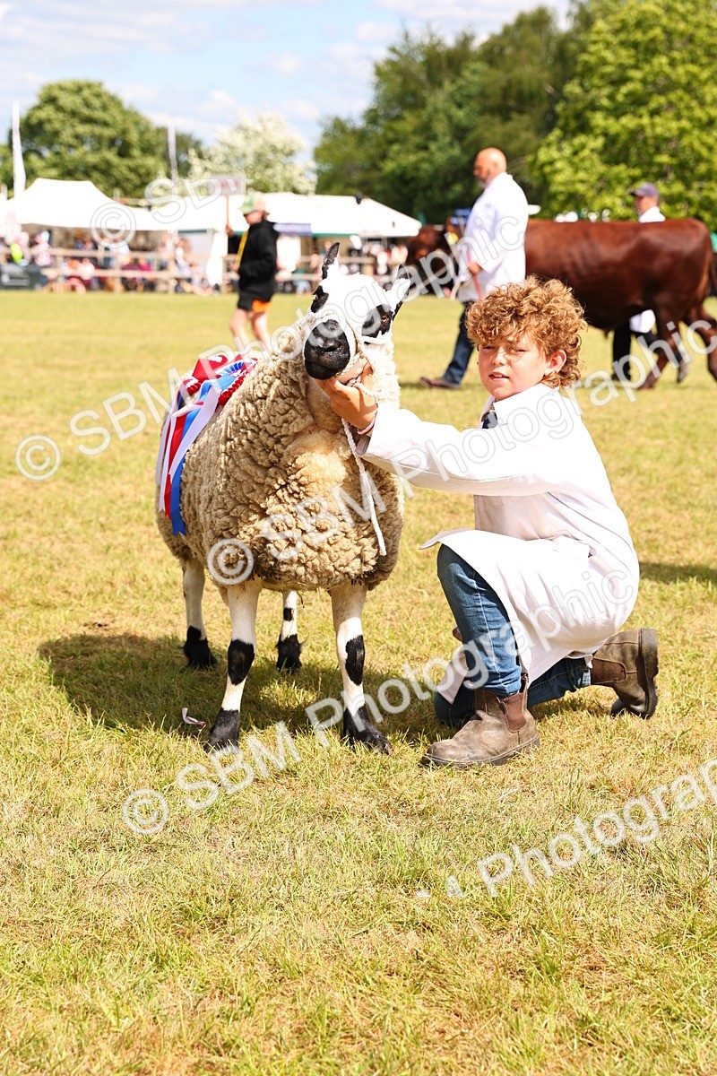 SBM_16972 - Grand Parade