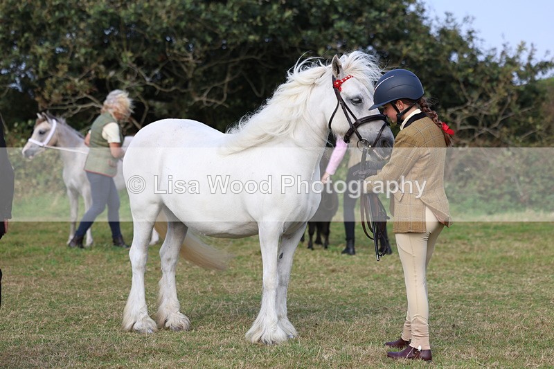 3E7A3275 - Class 12: M & M Small Breeds